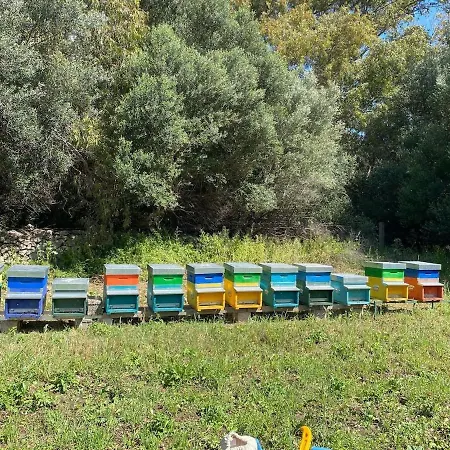 Stazzu Pittorra Per 4 Persone